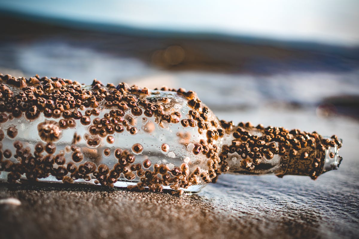 Sea glass found on Seaham beach